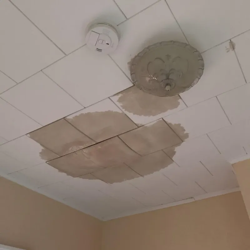 Ceiling Water Damage Repair in Seth Ward, TX