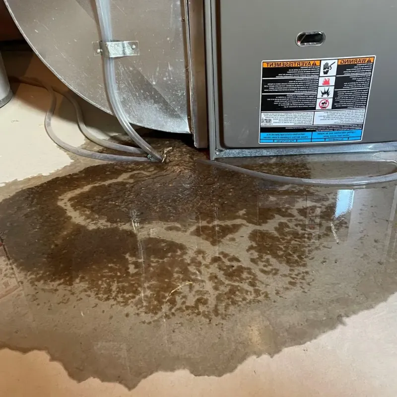 Pipe Burst and Leak Restoration in Seth Ward, TX